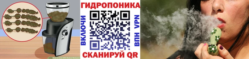 продажа наркотиков  Шумиха  Печенье с ТГК марихуана 