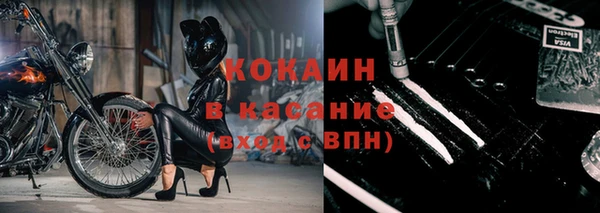 ГАЛЛЮЦИНОГЕННЫЕ ГРИБЫ Карталы