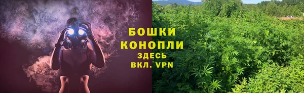ALPHA PVP Касимов