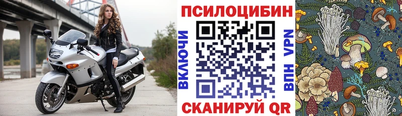 blacksprut ссылка Шумиха Псилоцибиновые грибы GOLDEN TEACHER